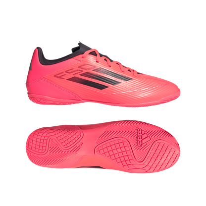 F50 Club Indoor