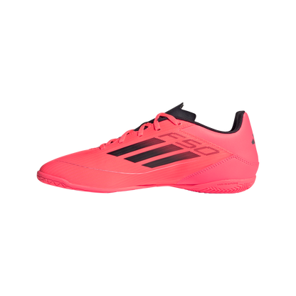 F50 Club Indoor